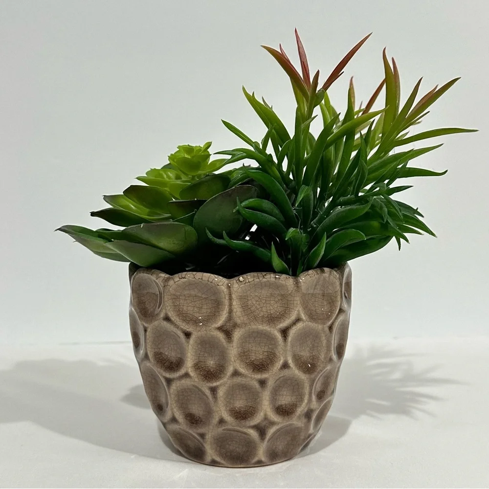 Ceramic Potted Faux Succulents Artificial Plant Decor